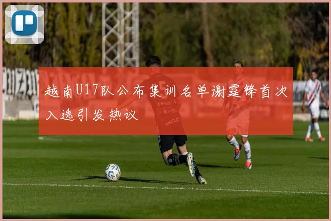 越南U17队公布集训名单谢霆锋首次入选引发热议